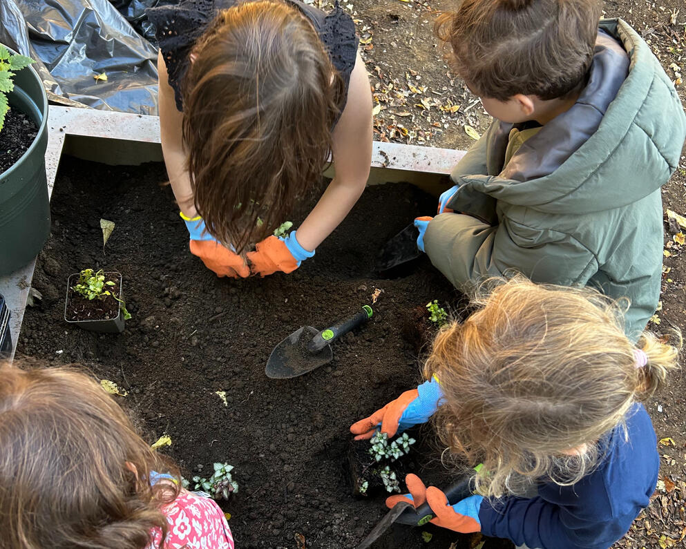 Planting Planting